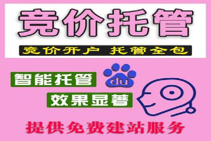 SEM代运营案例：精准定位目标客户